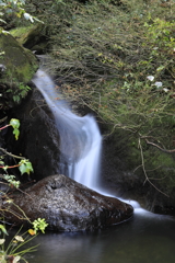 浄法寺山　的川無名瀑２