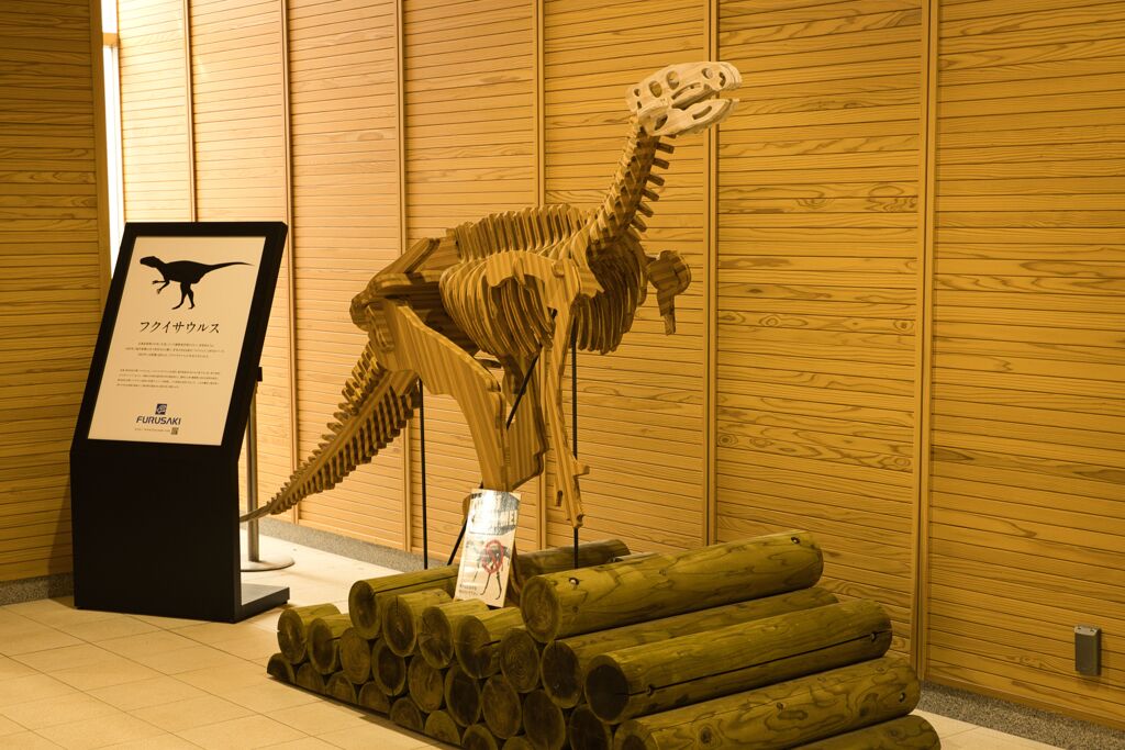 フクイサウルス模型