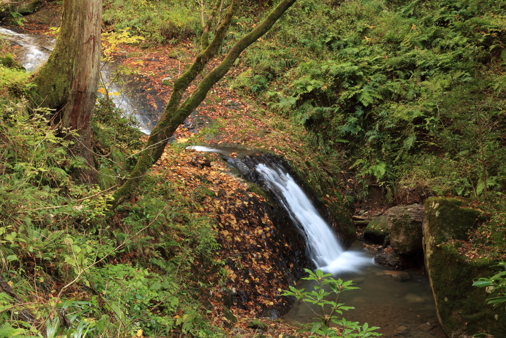柳の滝　無名滝1