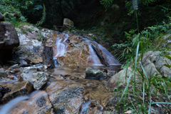 観音川渓流１