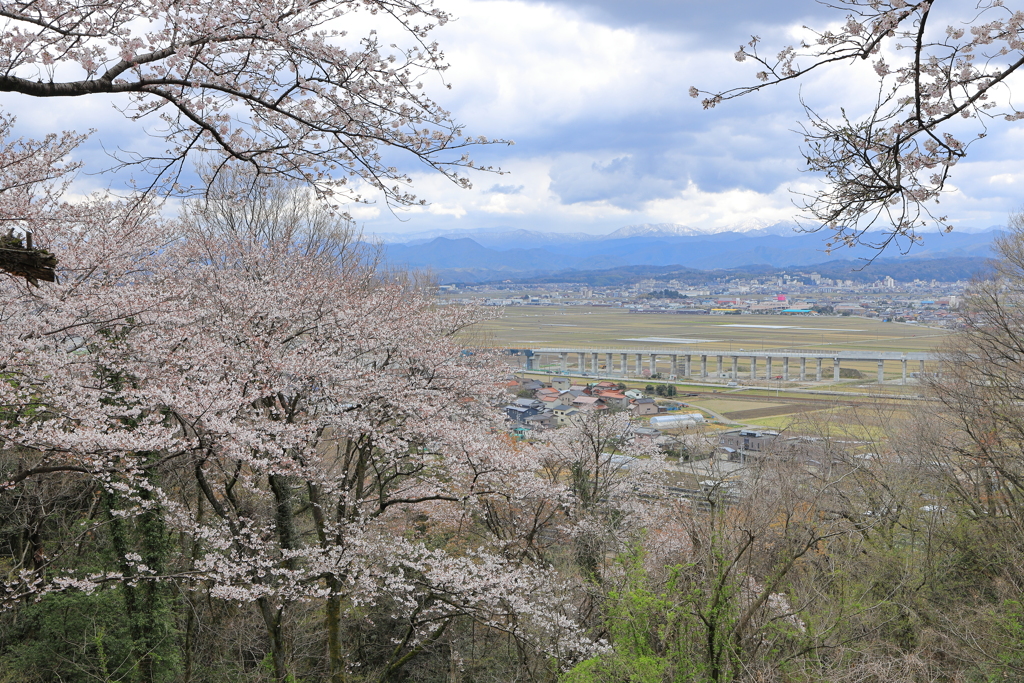 加賀を見渡し