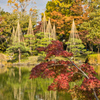 養浩館庭園３
