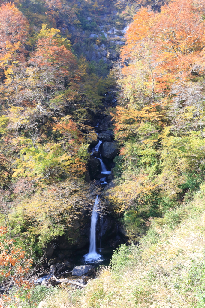 サコサガ滝