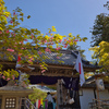 本坊表門