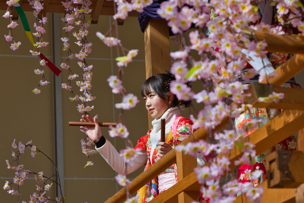 勝山左義長４