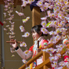 勝山左義長４