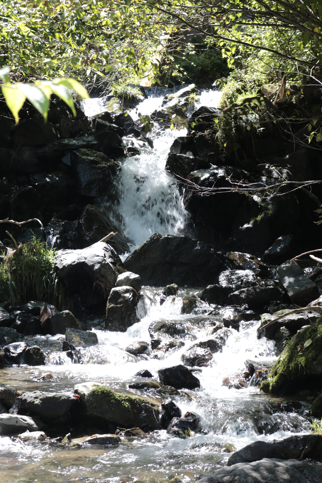 一乗滝　上流小滝沢