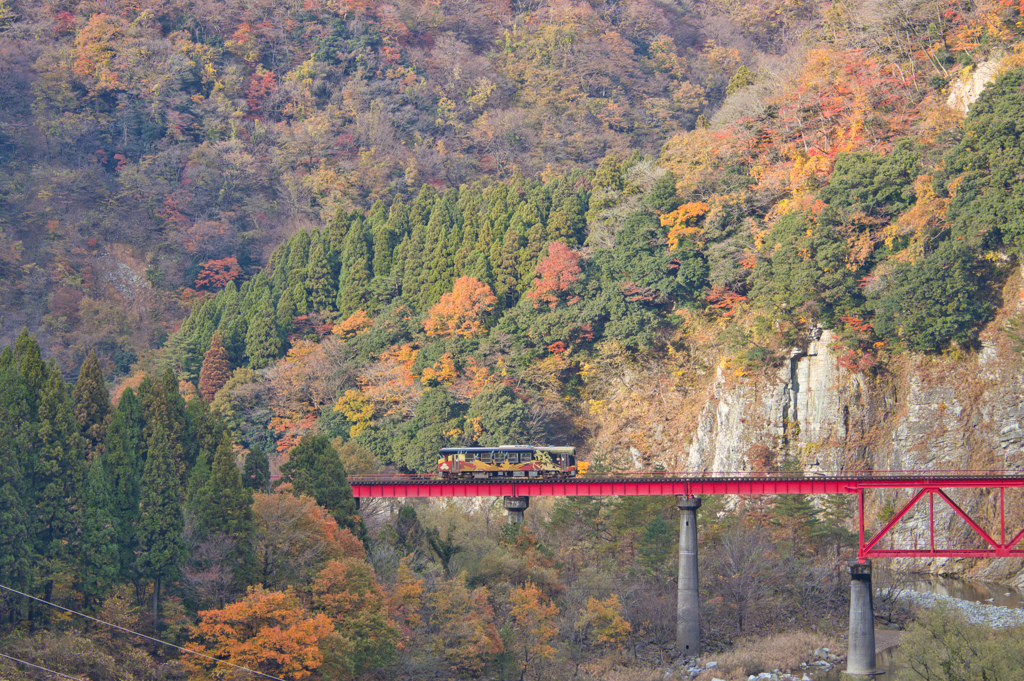 戦国列車