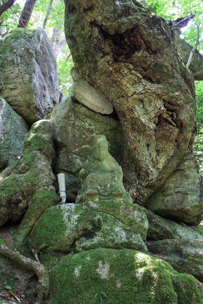 瀧ヤ谷渓谷　行者様