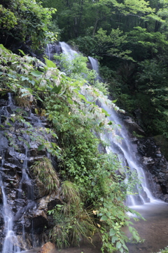 左方より（霜降りの滝）
