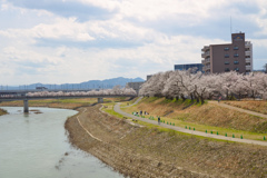 幸橋から泉橋