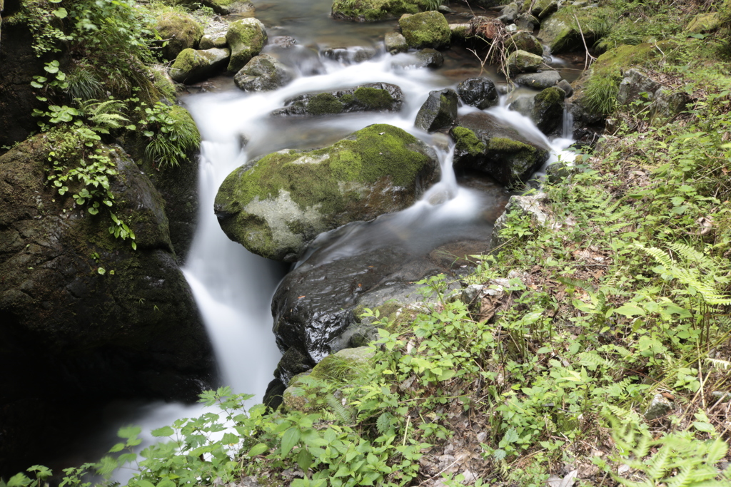 部子川上流の小オウ穴