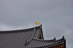 鳳凰