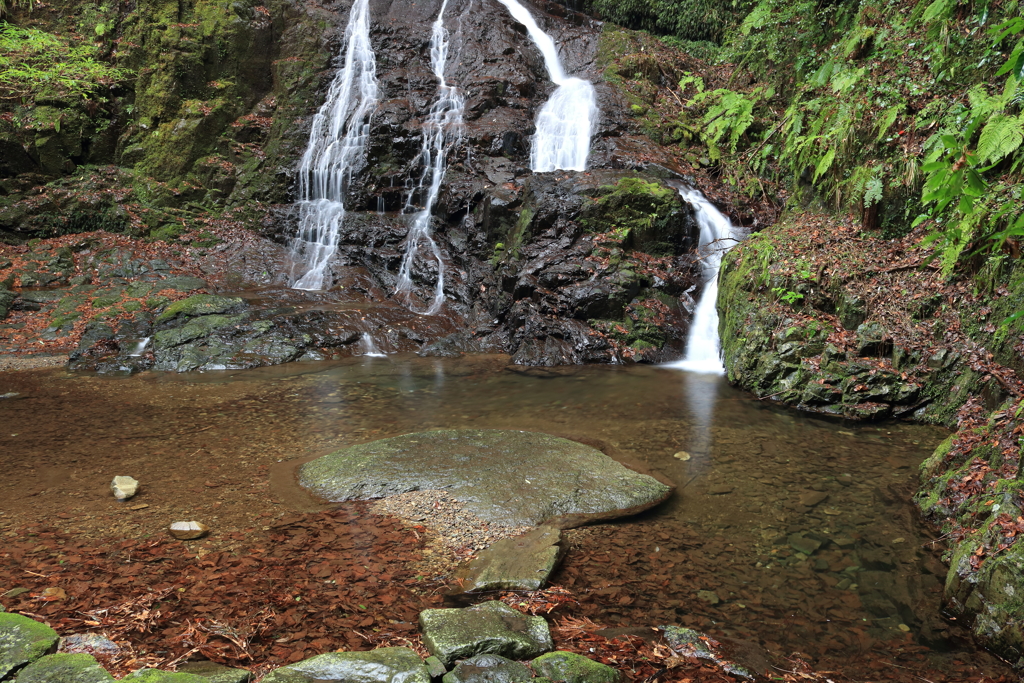 秋芳　白糸の滝　下段