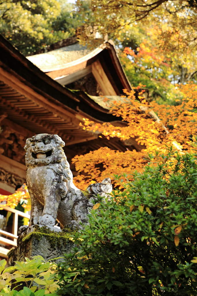 那谷寺大悲閣