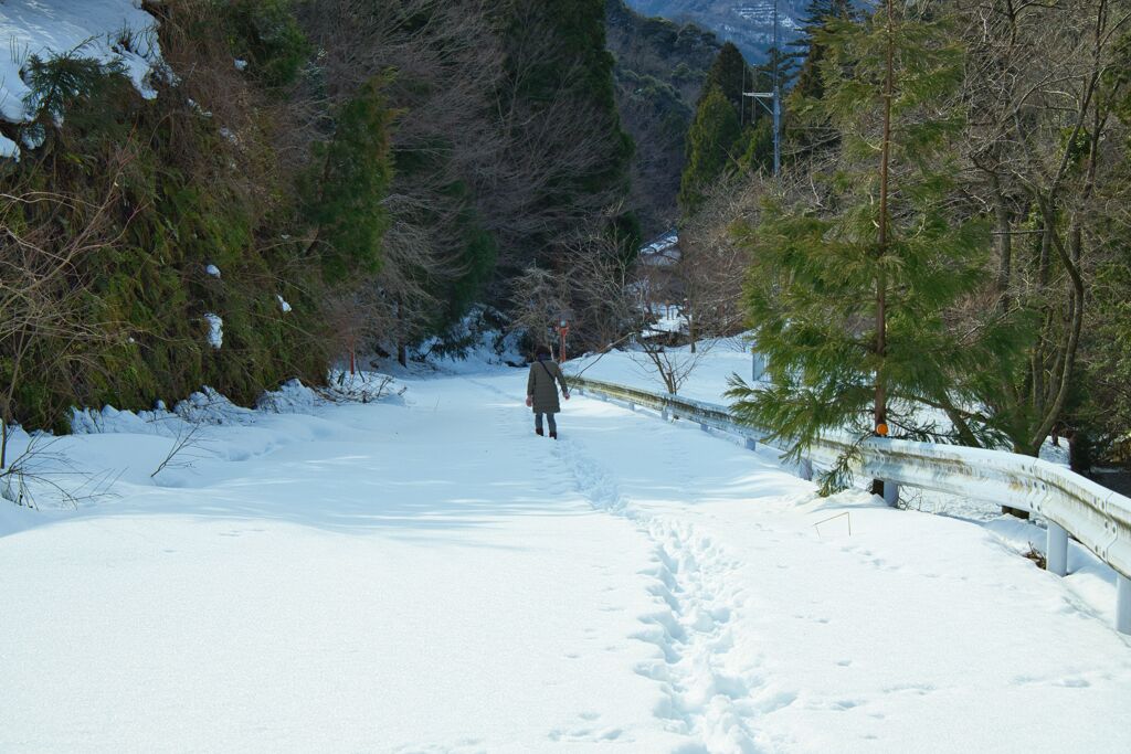 未除雪