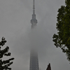 雲を纏い