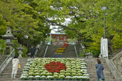 防府天満宮　花階段