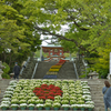 防府天満宮　花階段