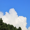暑い夏でした