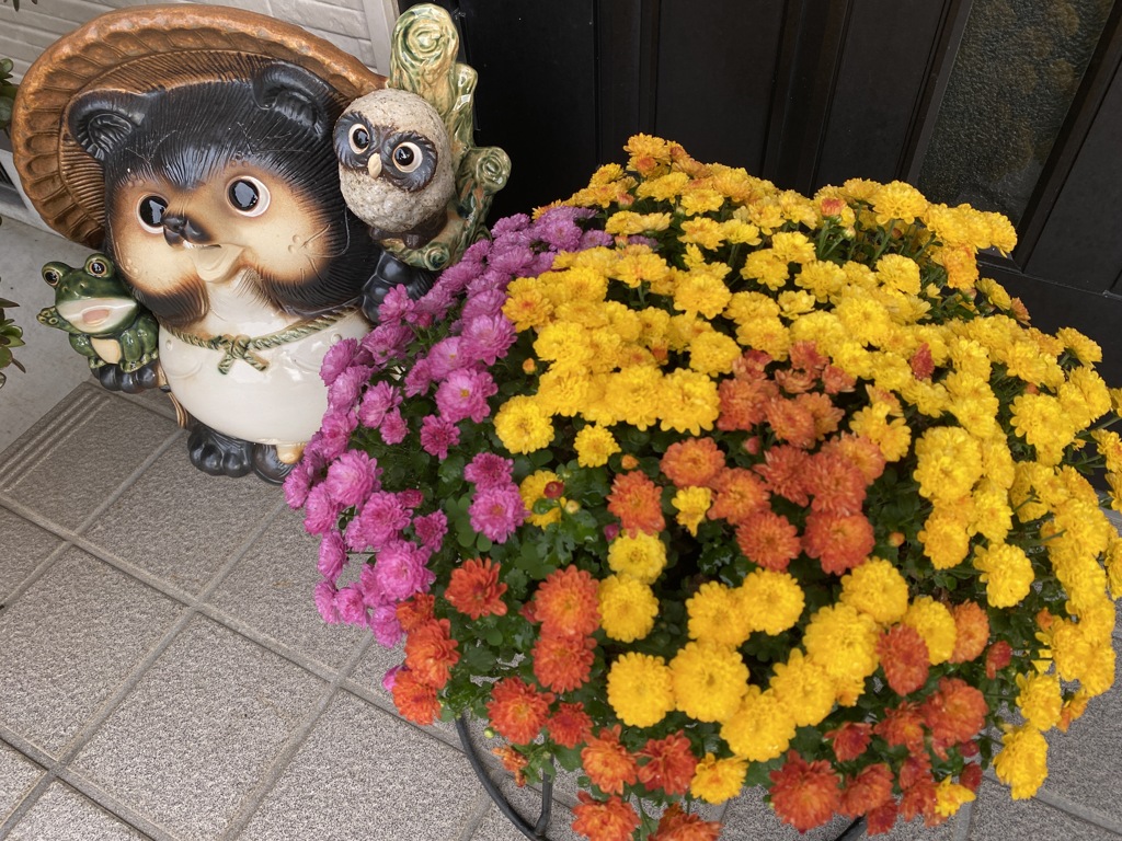狸とお花のお見送り