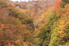 大岩と紅葉