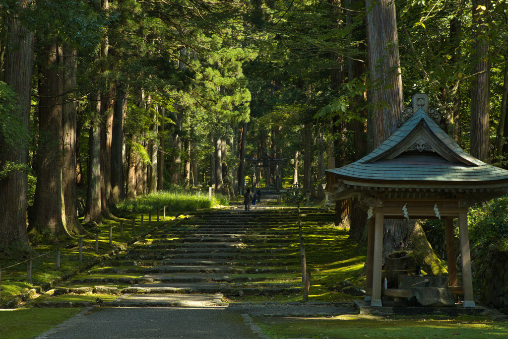 平泉寺参道