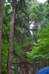 二の鳥居　白山三所大権現
