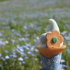 ネモフィラアイス