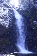 雪舞う一条滝