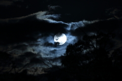 曇る月