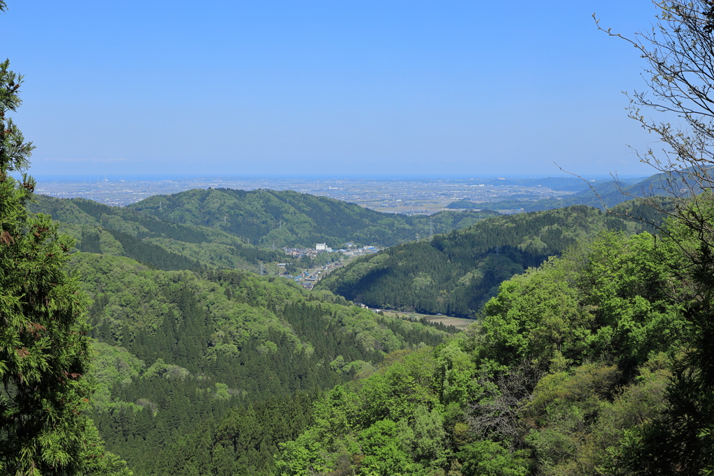 林道大仏山線から坂井平野を望み