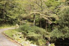 大虫滝遊園地