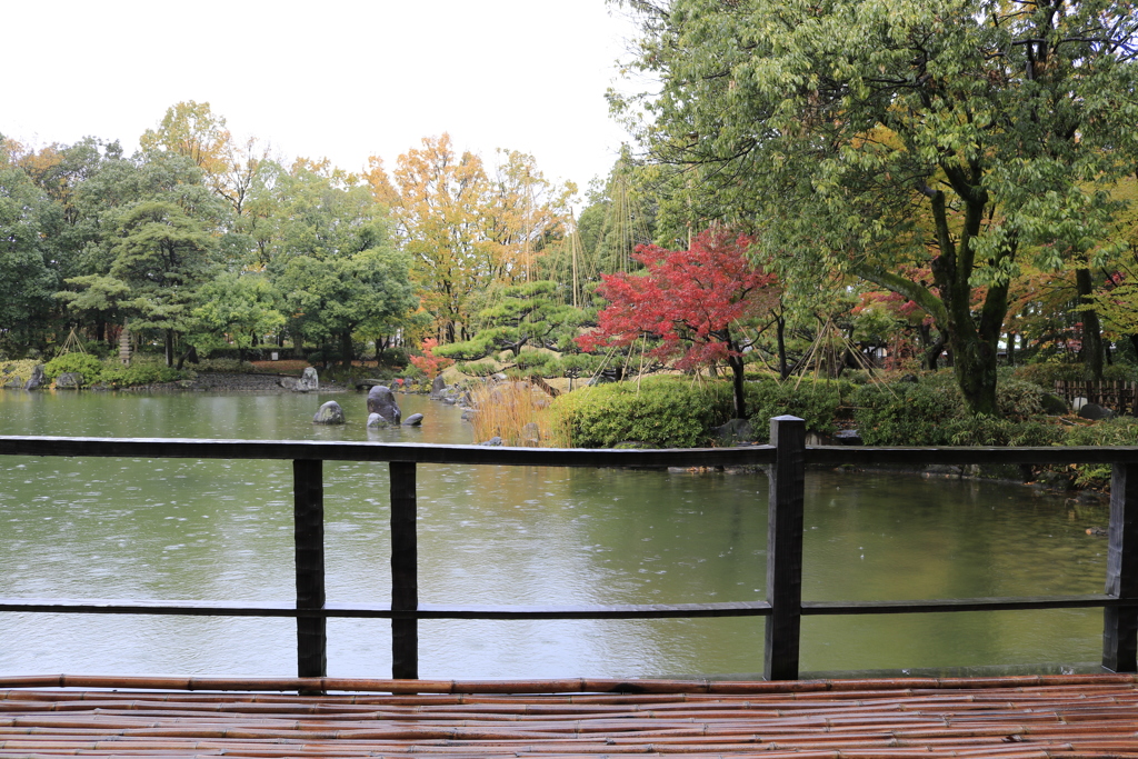 雨の庭園 2