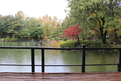 雨の庭園 2