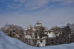 越前大野城