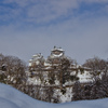 越前大野城