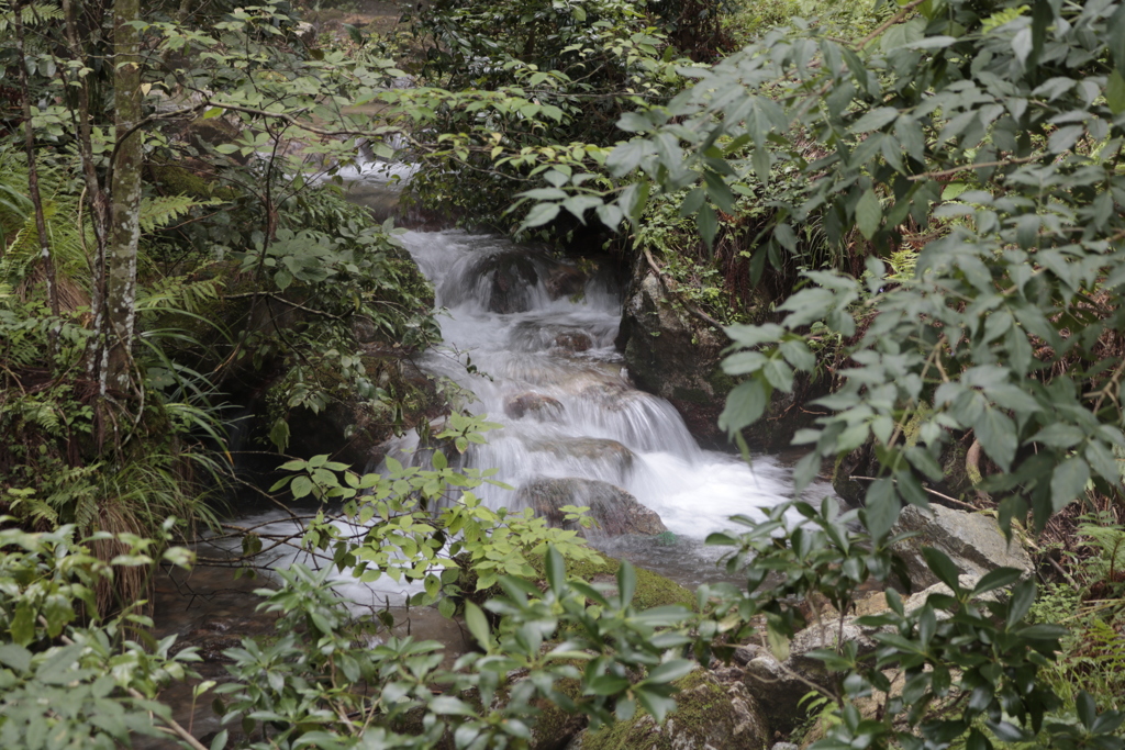 天徳寺川