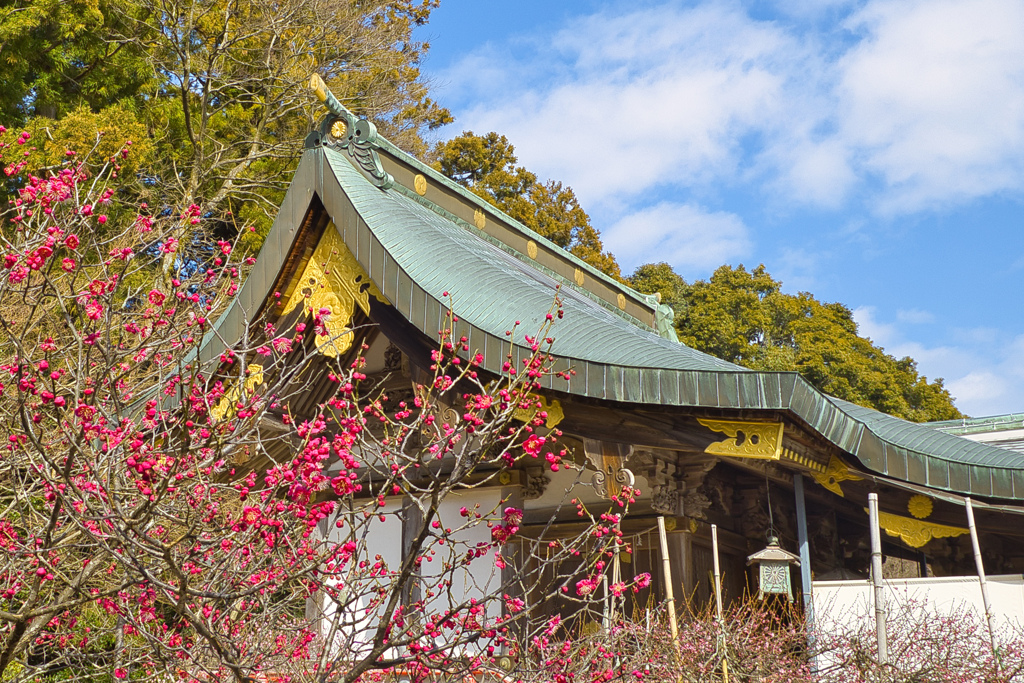 常宮神社社殿