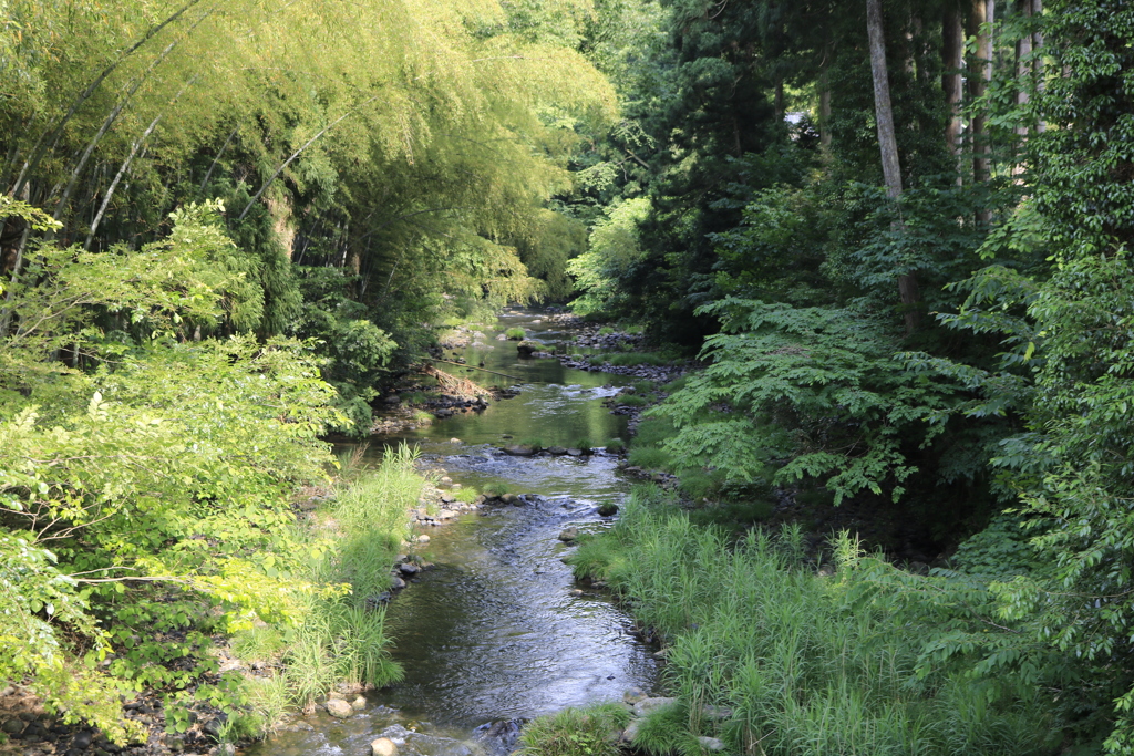 竹田川