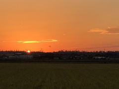 暮れゆく