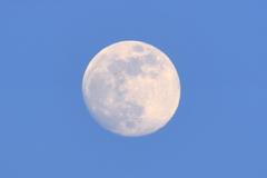 夕刻の月