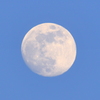 夕刻の月