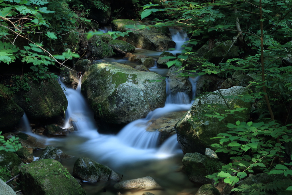 瀧ヤ谷水系