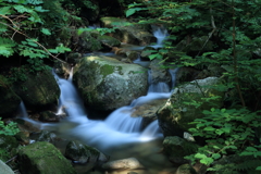 瀧ヤ谷水系