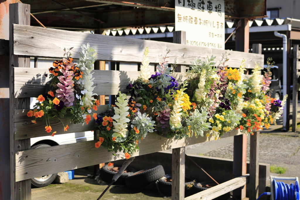 通りに飾られた花々
