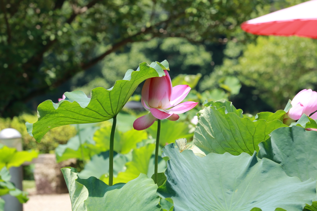 ちょっと失礼
