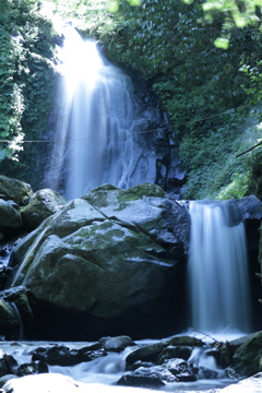 一乗滝　下流から全景