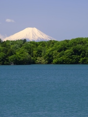 富士山が見えた日