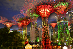 Super tree